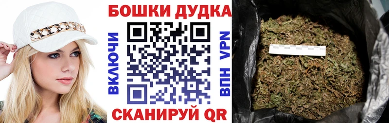 Бошки Шишки планчик  Дигора 